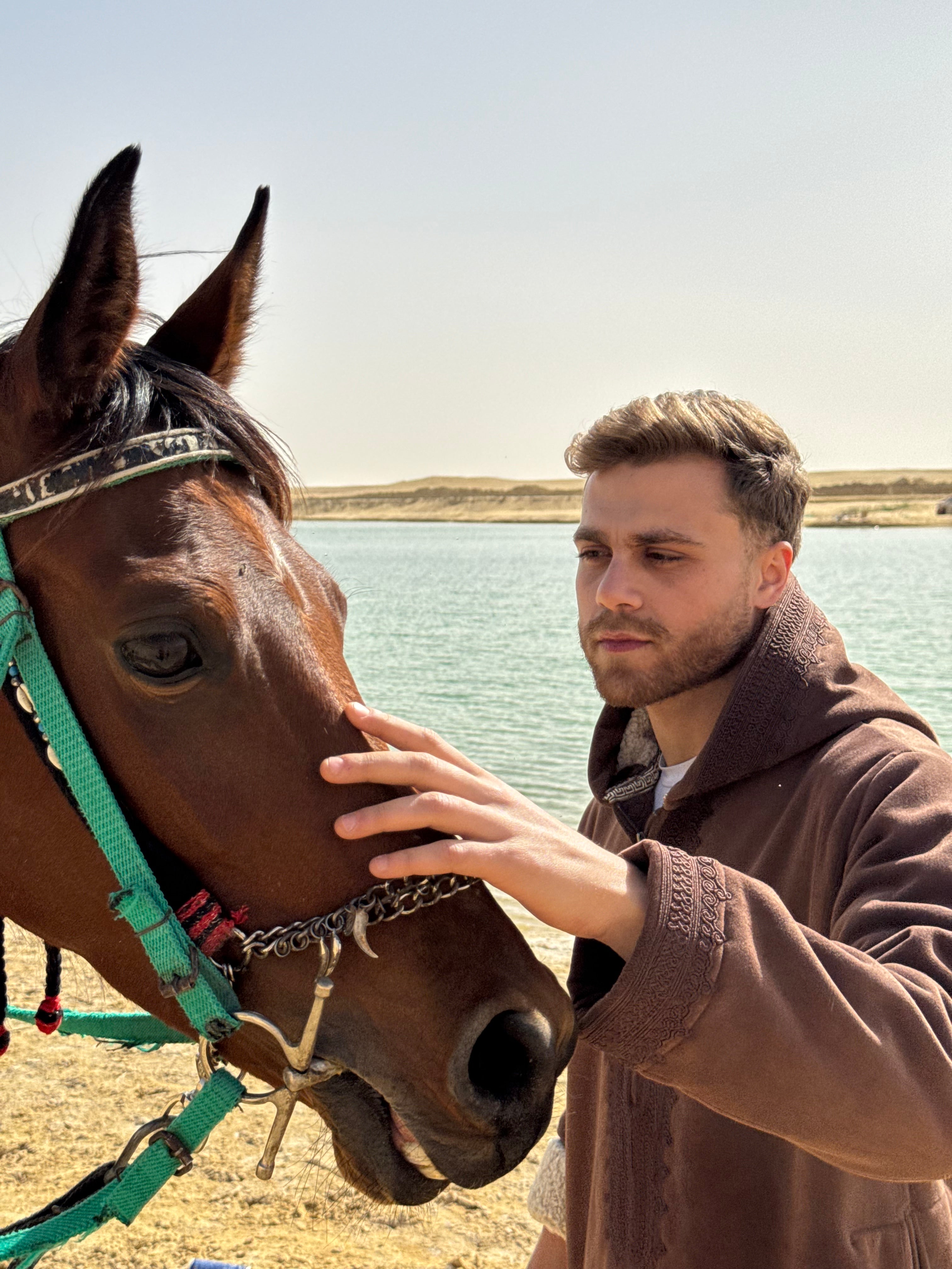 Rich chocolate brown